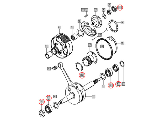 Lager und Simmerring Revision für Tomos A35 A52 A55 Klein product